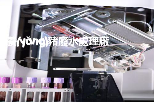 養(yǎng)豬廢水處理廠家：革新環(huán)保技術(shù)，打造清潔生態(tài)！
